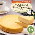 さかど葉酸たまごをふんだんに使ったチーズケーキ