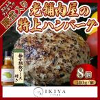 唐津バーグ8個と柚子胡椒ソースのセット