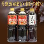 うまかばい 匠つゆセット