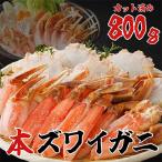 ふるさと納税 北見市 北見市加工 生冷本ズワイガニセット(800g・昆布同梱)