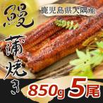 1389 大隅特産 うなぎ蒲焼 5尾