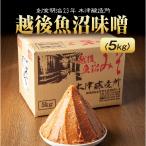 ふるさと納税 南魚沼市 新潟県 南魚沼産 越後魚沼味噌 5kg 木津醸造所