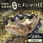 ヒメシャコ貝 約500g