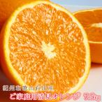紀州有田産清見オレンジ 7.5kg