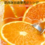 とにかくジューシー清見オレンジ 5kg