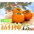 和歌山秋の味覚 富有柿 約7.5kg