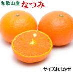 なつみ約5kg S~2Lサイズおまかせ