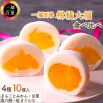 一福百果柑橘大福食べ比べ10個入