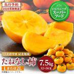 ふるさと納税 橋本市 【令和8年度】柿カテゴリ上位獲得!　JAわかやま(紀北地域)のたねなし柿　7.5kg　L又は2L