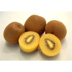 fu.... налог земля . блок [ маленький бобы остров ]... Gold киви большой шар примерно 3.5kg