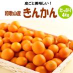 完熟きんかん 金柑 約4kg