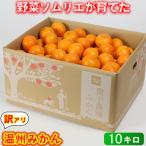 ふるさと納税 杵築市 【訳あり規格外品】野菜ソムリエが育てた九州・大分県杵築産「温州みかん」10kg(サイズ混合不揃い)