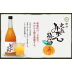 ふるさと納税 海南市 紀州完熟　みかん梅酒 720ml