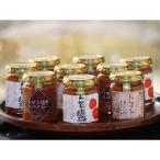 トマト麹ソース3種類 トマト塩糀 トマト塩糀スパイシー