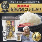 ふるさと納税 南魚沼市 無洗米 令和7年産 南魚沼産 コシヒカリ 4kg (美味しいお米の炊き方ガイド付き)