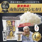 ふるさと納税 南魚沼市 無地のし 無洗米 令和7年産 南魚沼産 コシヒカリ 4kg (お米の炊き方ガイド付き)