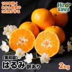 有田産 はるみ 約2kg