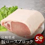 産豚ロースブロック5kg越え _K16_0058_2