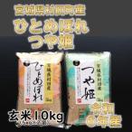 ふるさと納税 村田町 令和6年産 ひとめぼれ・つや姫 玄米10kg(5kg×2) 食べ比べ 宮城県村田町産