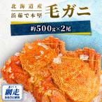浜茹で本堅 毛ガニ 約500g×2尾