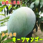 ふるさと納税 上富田町 【希少マンゴー】濃厚キーツマンゴー 約1kg(1〜3玉)