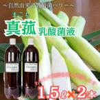 真菰 まこも 乳酸菌液 1.5L