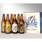 ふるさと納税 能登町 奥能登ビール 3種 500ml 6本 セット　