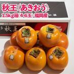 福岡 秋王 あきおう 1.5kg箱 4-6玉