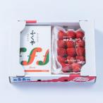 博多名物 あまおう &amp;ふくや 味の明太子