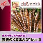 お届けオーダーメイド 東興のくるまえび1kg×5