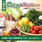 産農産物と加工品セット_K04_0001_3