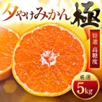 ふるさと納税 八幡浜市 【甘みが濃縮されたみかん】愛媛で育った夕やけみかん【極】5kg【D49-8】