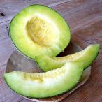 ショッピングふるさと納税 メロン ふるさと納税 東金市 【約1.3kg以上×3玉】訳あり千葉アクアメロン(マスクメロン)