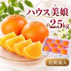 ハウス美娘 約2.5kg