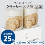 25年保存の美味しい備蓄食 非常食 サバイバルフーズ