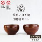 漆めいぼく椀 中 2樹種セット ブナ サクラ
