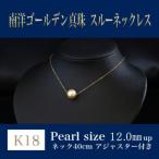 K18 南洋ゴールデンパールスルーネックレス