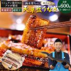 海水育ちの天草藍うなぎ 蒲焼き 2 3尾セット