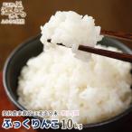 契約農家栽培 江差追分米 ふっくりんこ 令和8年産