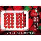 ふるさと納税 三木町 ギフト仕様【高級】女峰いちご 24又は30粒入 2025年1月〜発送 IDOMALLセレクト
