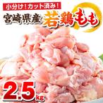 鶏肉 もも肉