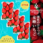 ふるさと納税 三木町 苺ファーム森本 女峰いちご 小パック180g×4 2025年1月〜順次発送 IDOMALL セレクト