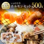 いぶさなホルモンセット