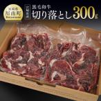 牛肉 いぶさな牛 切り落とし 150g×2