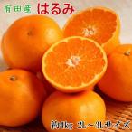 紀州有田産のはるみ約4kg サイズおまかせ