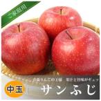 黒石産サンふじ 約5kg_果物 フルーツ