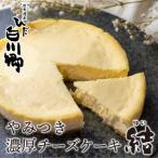やみつき濃厚チーズケーキ 結