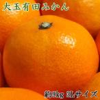 ふるさと納税 那智勝浦町 【食べごたえ十分】和歌山有田みかん大玉約9kg(3Lサイズ・秀品)【那智勝浦町】