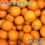 ふるさと納税 那智勝浦町 【訳あり】和歌山下津みかん約10kgご家庭用向け(サイズ混合) (那智勝浦町)