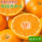 和歌山有田みかん約9kg 2Lサイズ ★2026年11月中旬頃